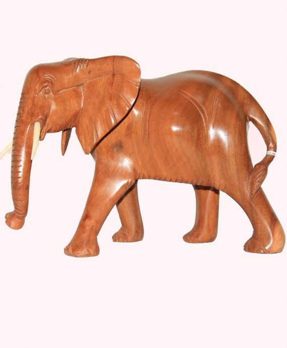 elephant-large