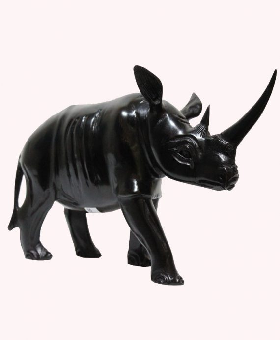 rhino-medium