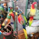 Carved Birds Straps 2