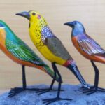 curved birds