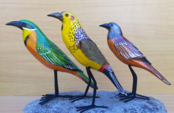 curved birds