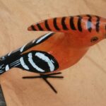 curved birds spotted