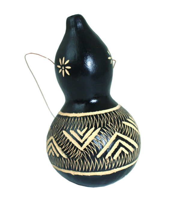 Ornamental gourds 4