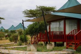 AA Mara tented camp