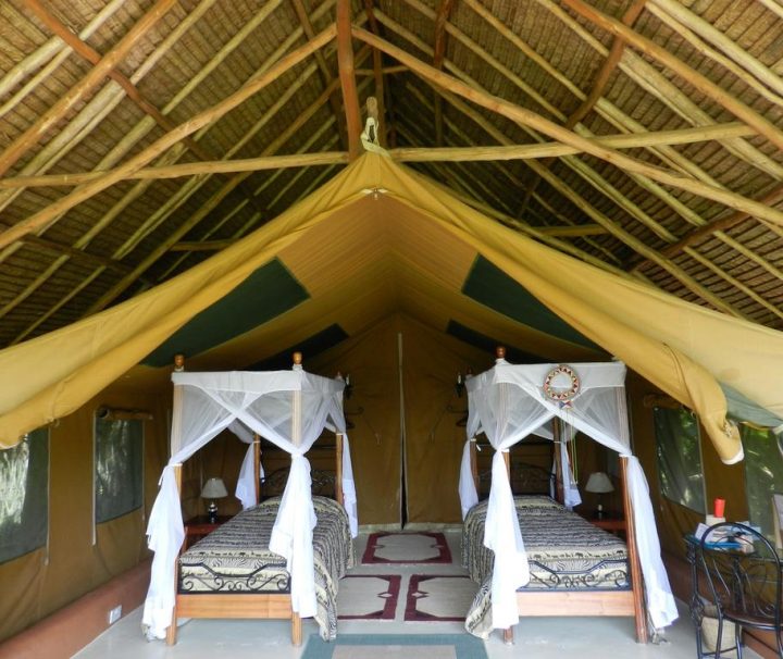 Flamingo Hill tented Camp