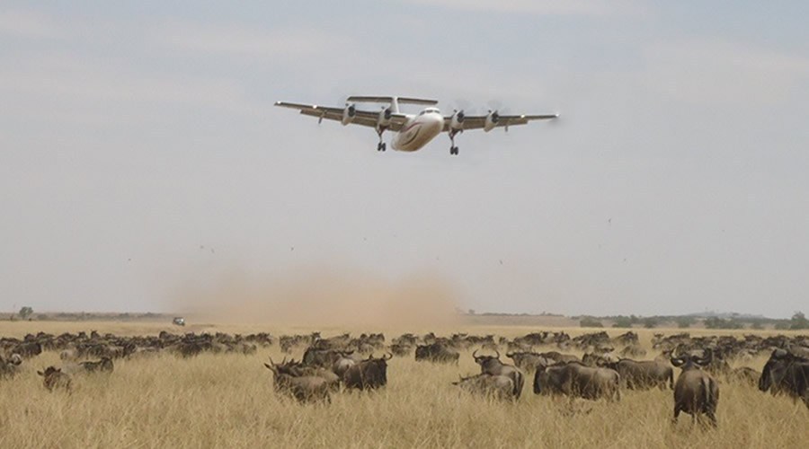 Kenya air safari package Masai Mara